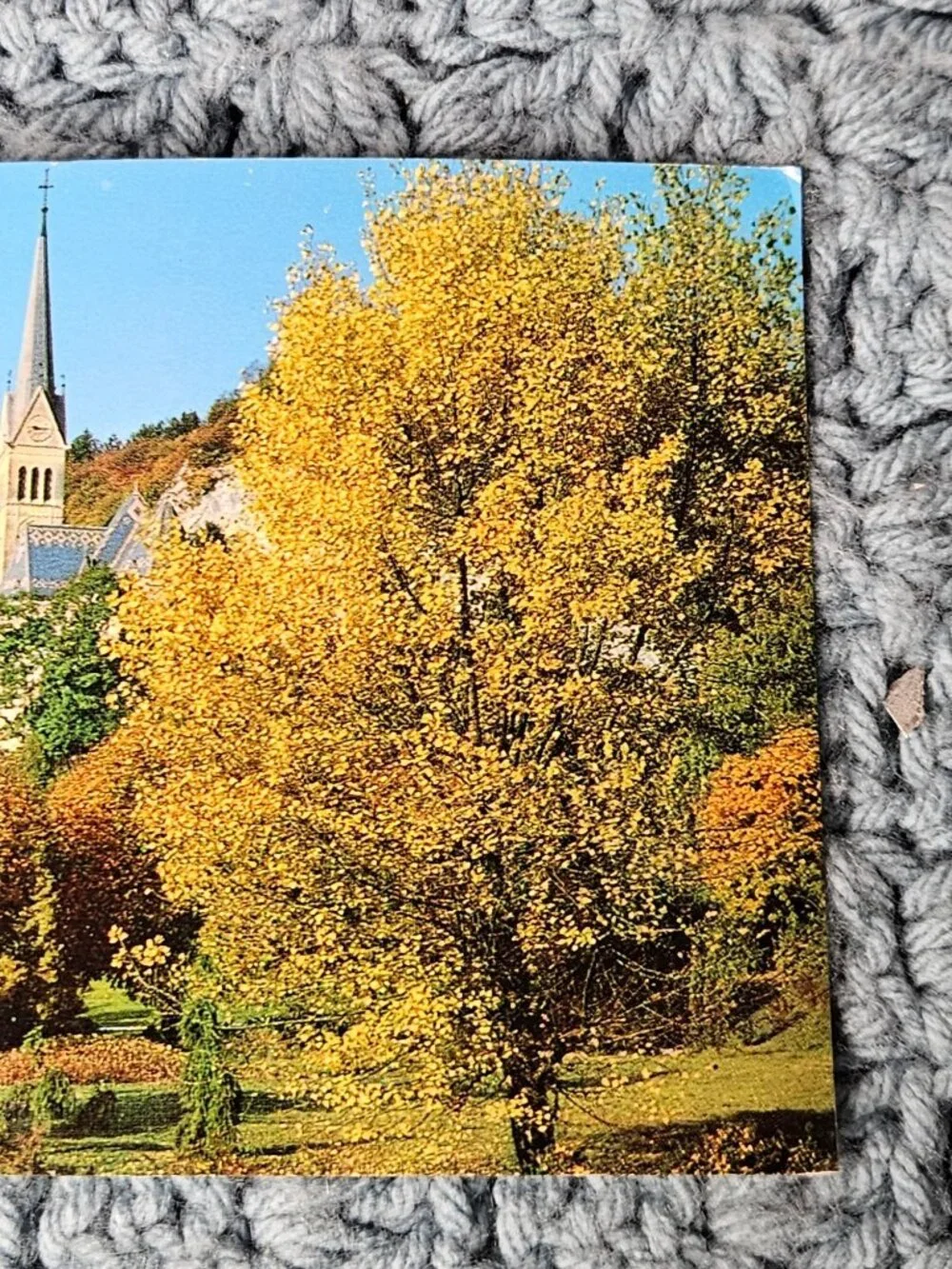 Institute for the Promotion and Development of Tourism Bled Postcard